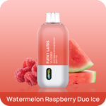 Funky Lands Vi10000 Disposable Watermelon Raspberry Duo Ice