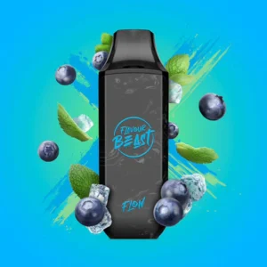 Flavour Beast Flow Disposable Blessed Blueberry Mint Iced